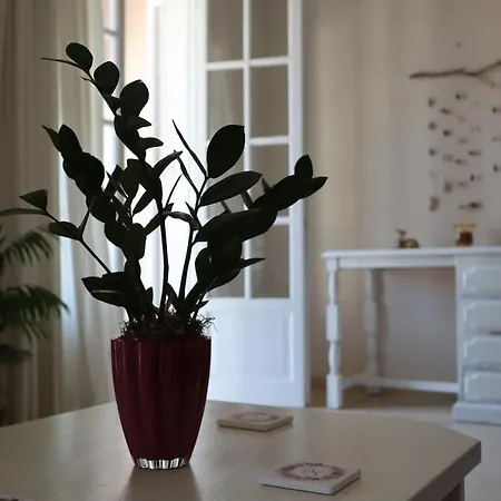 Apartmán Helena